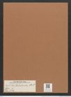 Navicula luculenta A.S. (de-Toni-Nr.: Genus 1, Species 149) Zeichnungen Sammlung Grunow Mappe 00133 (Herbarium_W_Grunow_drawings_Folder_00133)